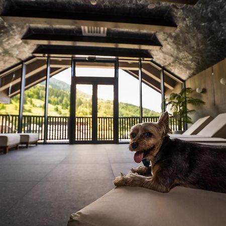 Hotel Roman Maramures - Ski & Spa Resort Statjunea Borsa Ngoại thất bức ảnh
