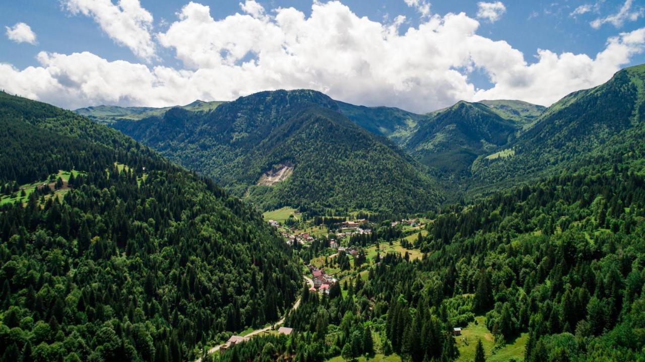 Hotel Roman Maramures - Ski & Spa Resort Statjunea Borsa Ngoại thất bức ảnh