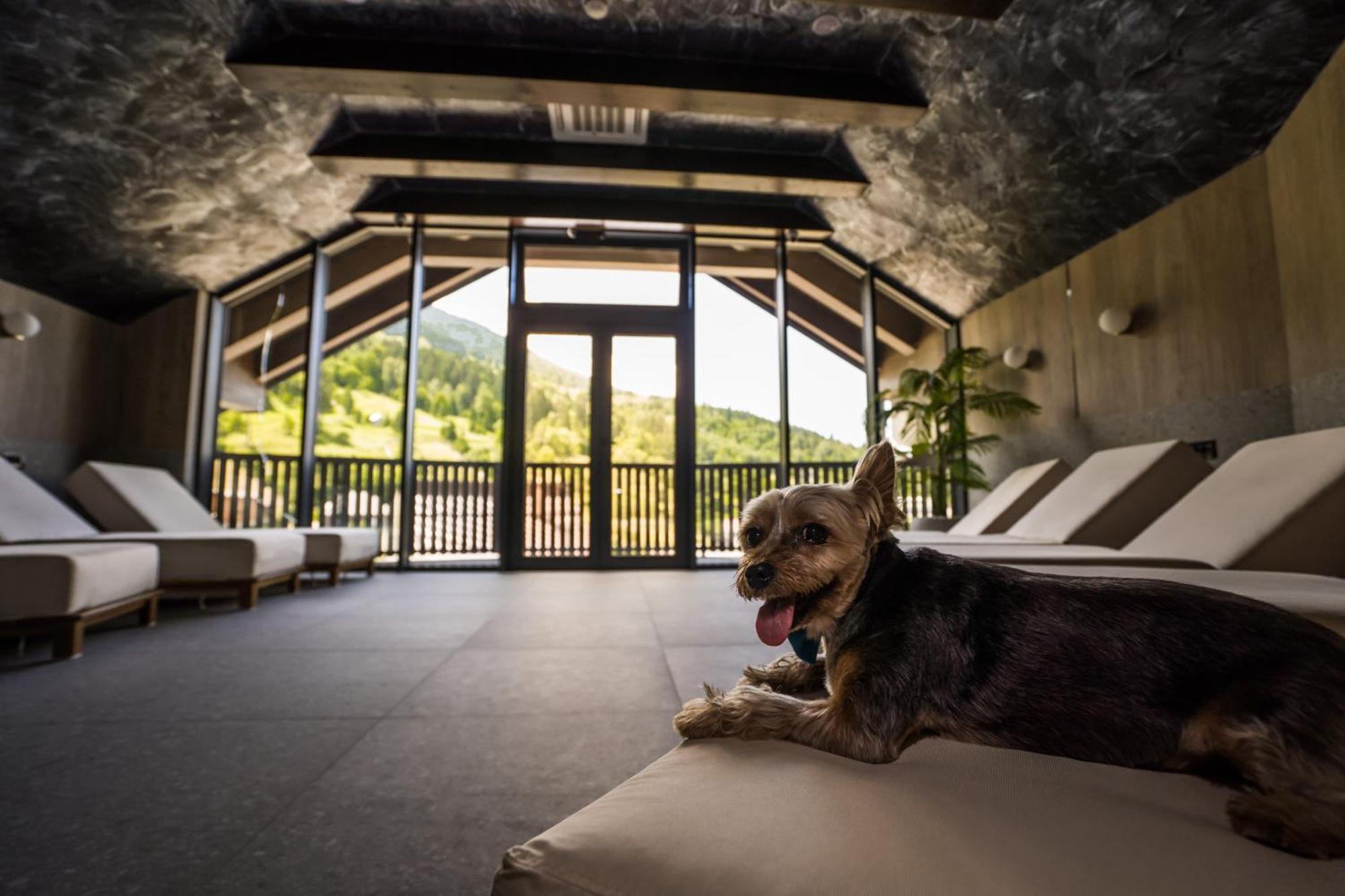 Hotel Roman Maramures - Ski & Spa Resort Statjunea Borsa Ngoại thất bức ảnh